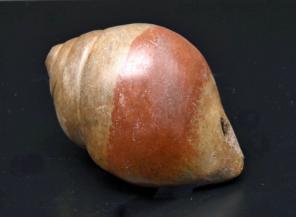 Small Narino Shell Whistle (1 of 3)