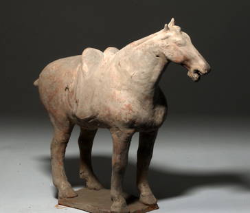 Chinese Tang Dynasty Pottery Horse, TL Tested: Far East, China, Tang Dynasty, ca. 618 to 906 CE. A fine terracotta mold-made horse covered in original white slip from the Tang Dynasty, most likely a funerary object of strong symbolic import, as