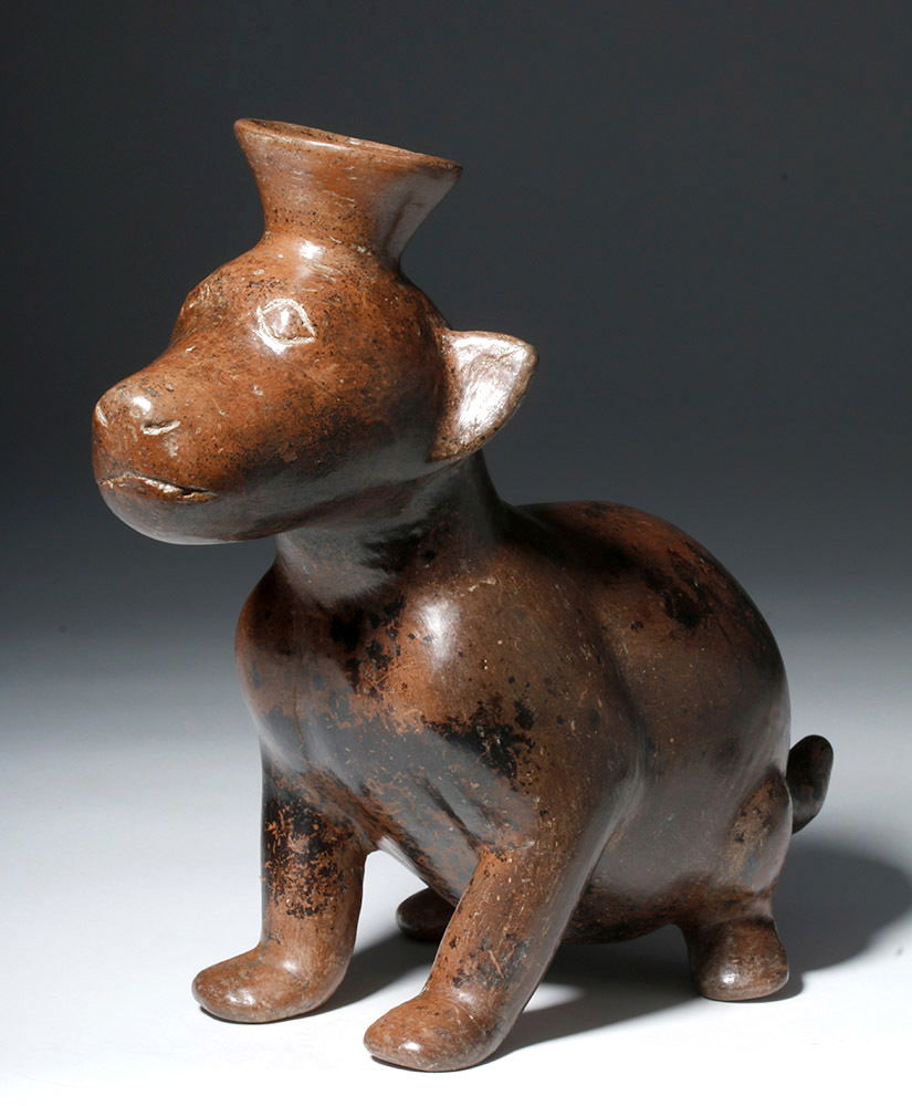 Adorable Colima Pottery Seated Dog (1 of 7)