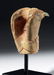 Extremely Rare Chavin Bone / Turquoise Jaguar Claw - 3