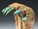 Extremely Rare Chavin Bone / Turquoise Jaguar Claw - 7