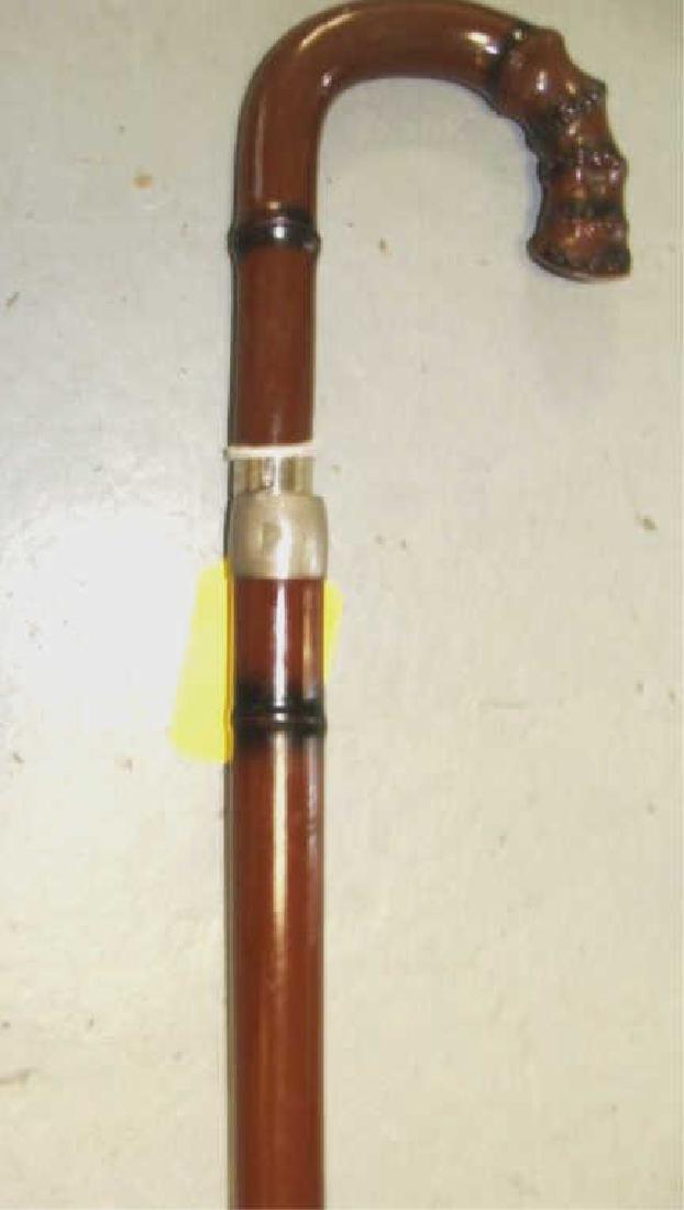 Umbrella Cane, Walking Stick (1 of 3)