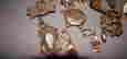 item-62504130=2