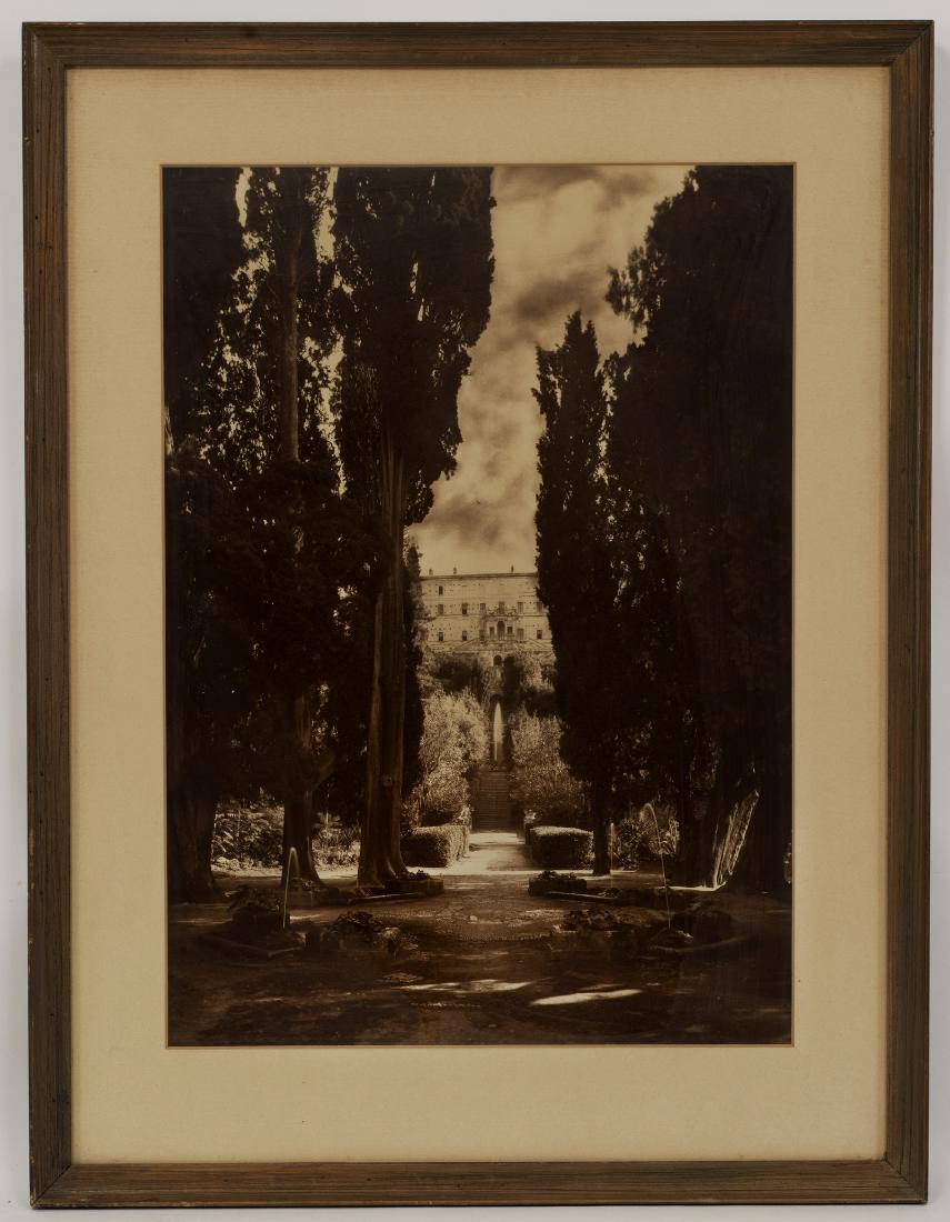 PALACE WITH TALL TREES & GREAT SKY (1 of 1)