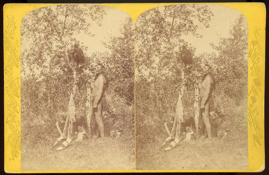 NAU-NO-KWITS AND HIS EAGLE. USGS SURVEY UTAH: Stereoview from the Powell Survey. INDIANS OF THE COLORADO VALLEY. U-in-ta Utes. NAU-NO-KWITS AND HIS EAGLE. Living in the U-in-ta Valley on the Western Slope of the Wasatch Mountains in Utah. No. 91.
