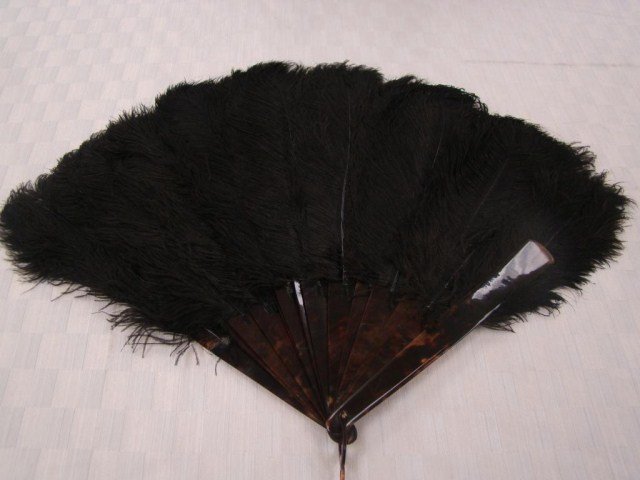 Victorian Ladies Ostrich Fan: tortoise and ostrich feathers