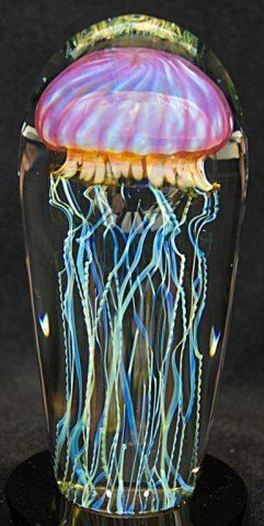 Rick Satava Jellyfish Paperweight: golden ruby jellyfish paperweight 5 7/8 - 6" Condition vg/g