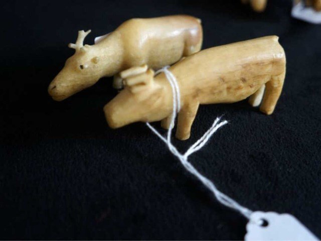 Grouping of Ivory/Bone Inuit Mini Cervidae Animals: grouping of primitive bone miniature elk, 3" x 1.25" and caribou, 3.25" x 1.25" Condition caribou has broken antler