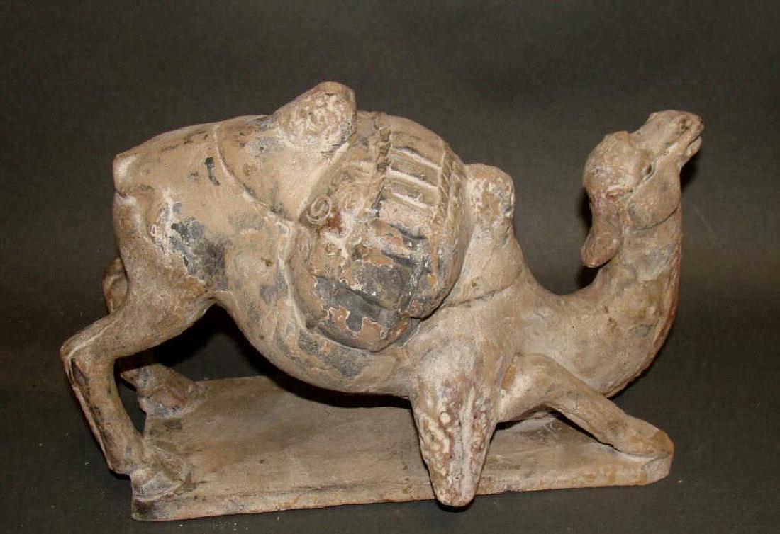 Hans Style Asian Camel (1 of 4)