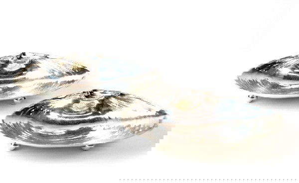 A PAIR OF STERLING SILVER CLAM SHELL SALTS, Mark o: A PAIR OF STERLING SILVER CLAM SHELL SALTS Mark of Wallace Silversmiths, Willingford, Connecticut (founded 1834), Circa 1950 Two naturalistic clam shell salt dishes modeled from real clam shells. Each