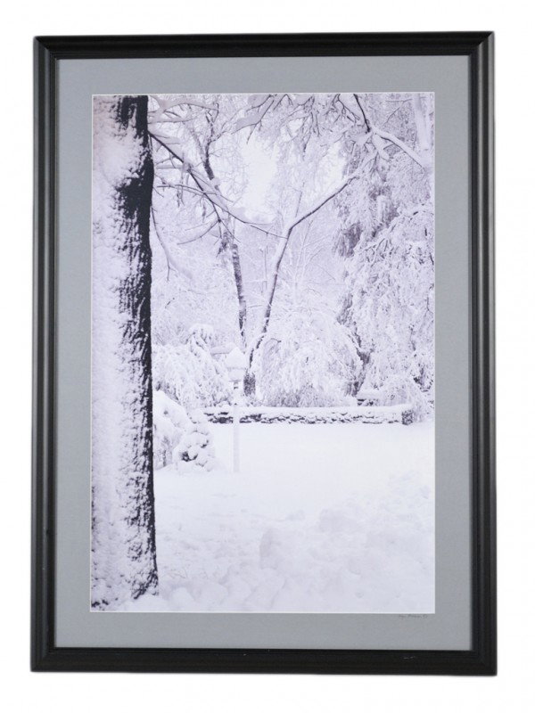 CARYN LANDAUER, Lacey Wonder, lights and darks, bla: CARYN LANDAUER Lacey Wonder, lights and darks black and white photograph Larson Juhl frame #350285 29 1/2 x 20 inches