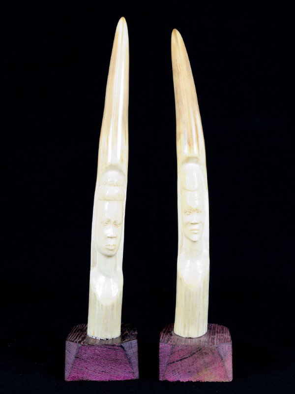 A PAIR OF CARVED IVORY TUSKS, African: A PAIR OF CARVED IVORY TUSKS, African with carved faces to convex surface 11 x 2 1/2 x 2 1/2 inches