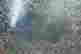item-10223150=3
