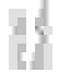 item-10433196=2