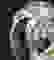 item-12004801=3