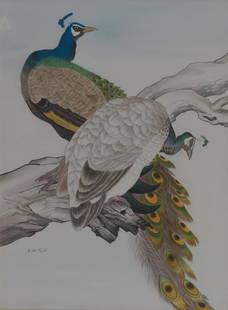 Lin Chen Wei (Chinese, 20th Century): 39" x 29" sight size Two Peacocks. Gouache on paper, signed lower left with red seal stamp, in a gold metal frame with wood liner and gilt fillet, overall 47" x 37". Provenance: private prominent coll