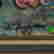 item-52612080=2