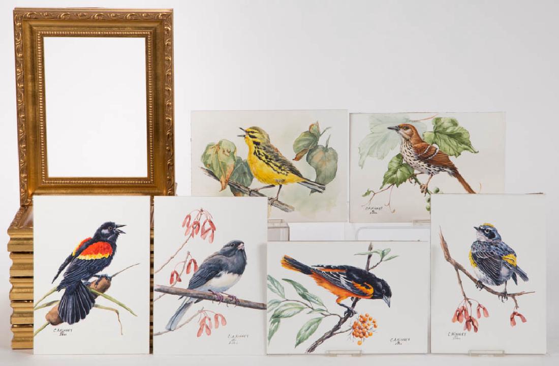 CHERYL ANN KINNEY NATURALIST BIRD WATERCOLOR PAINTINGS, (1 of 1)