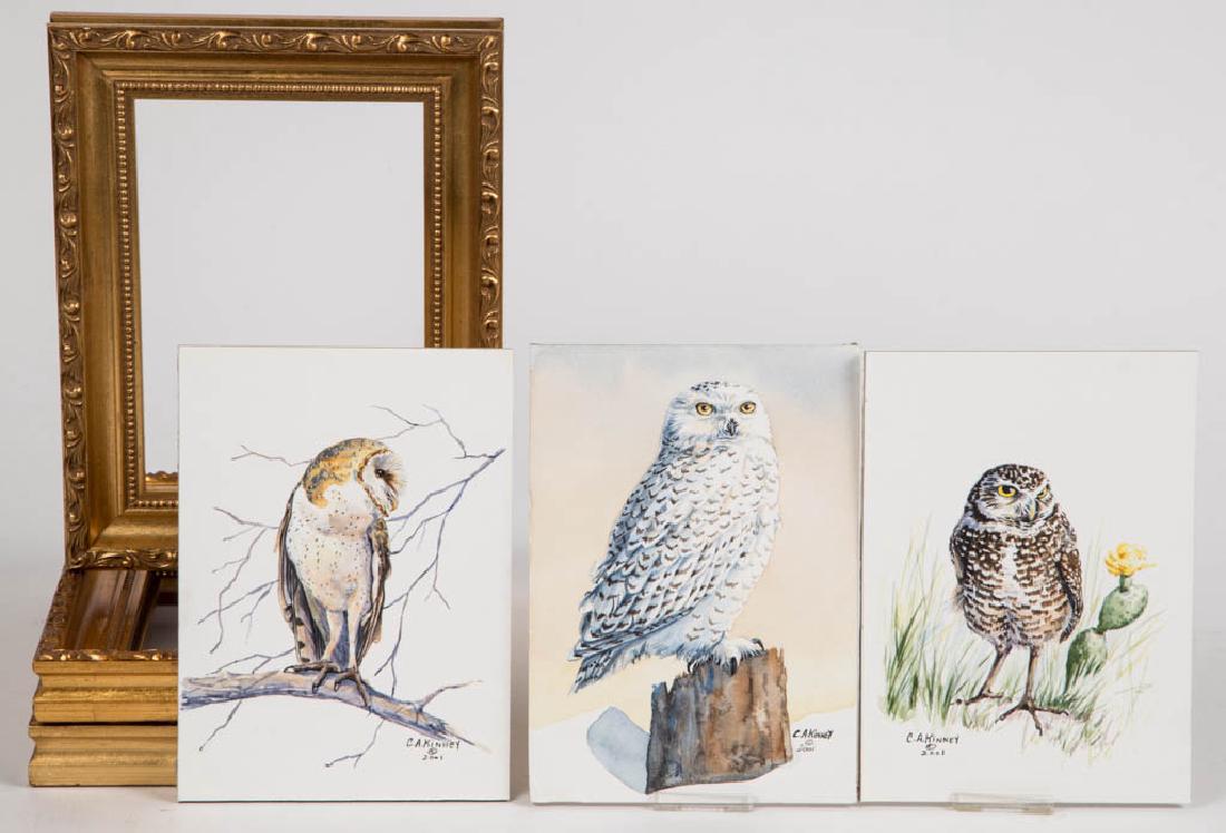 CHERYL ANN KINNEY NATURALIST BIRD WATERCOLOR PAINTINGS, (1 of 1)