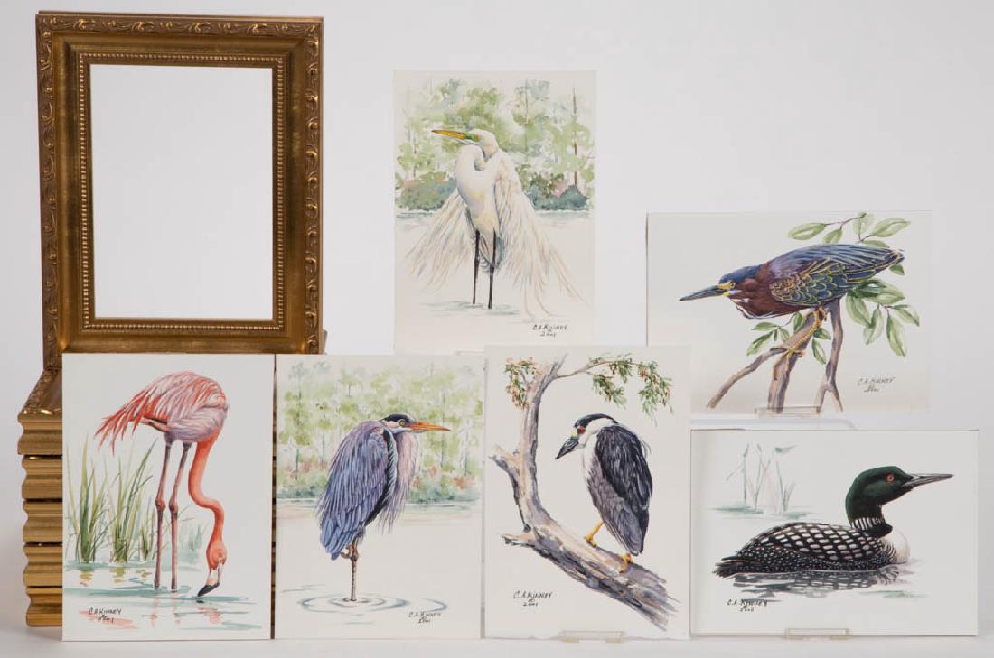 CHERYL ANN KINNEY NATURALIST BIRD WATERCOLOR PAINTINGS, (1 of 1)