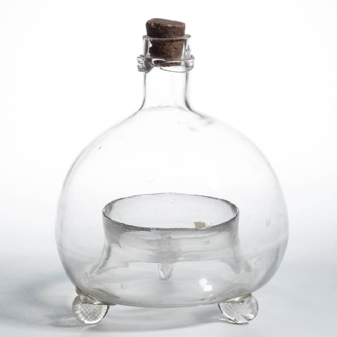 FREE-BLOWN FLY TRAP (1 of 1)