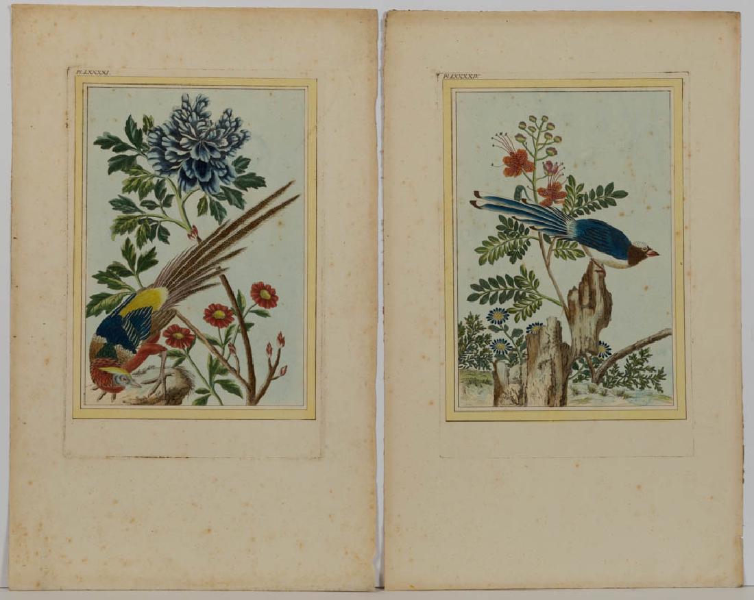 CHINESE / ASIAN ORNITHOLOGICAL PRINTS, LOT OF FOUR (1 of 6)