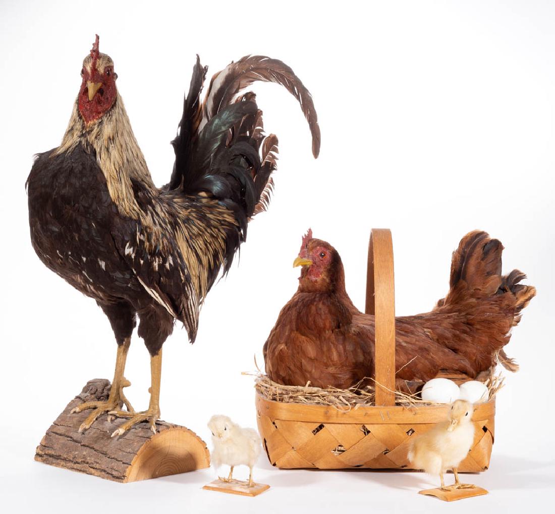 AMERICAN FARM ANIMALS, LOT OF FOUR (1 of 1)