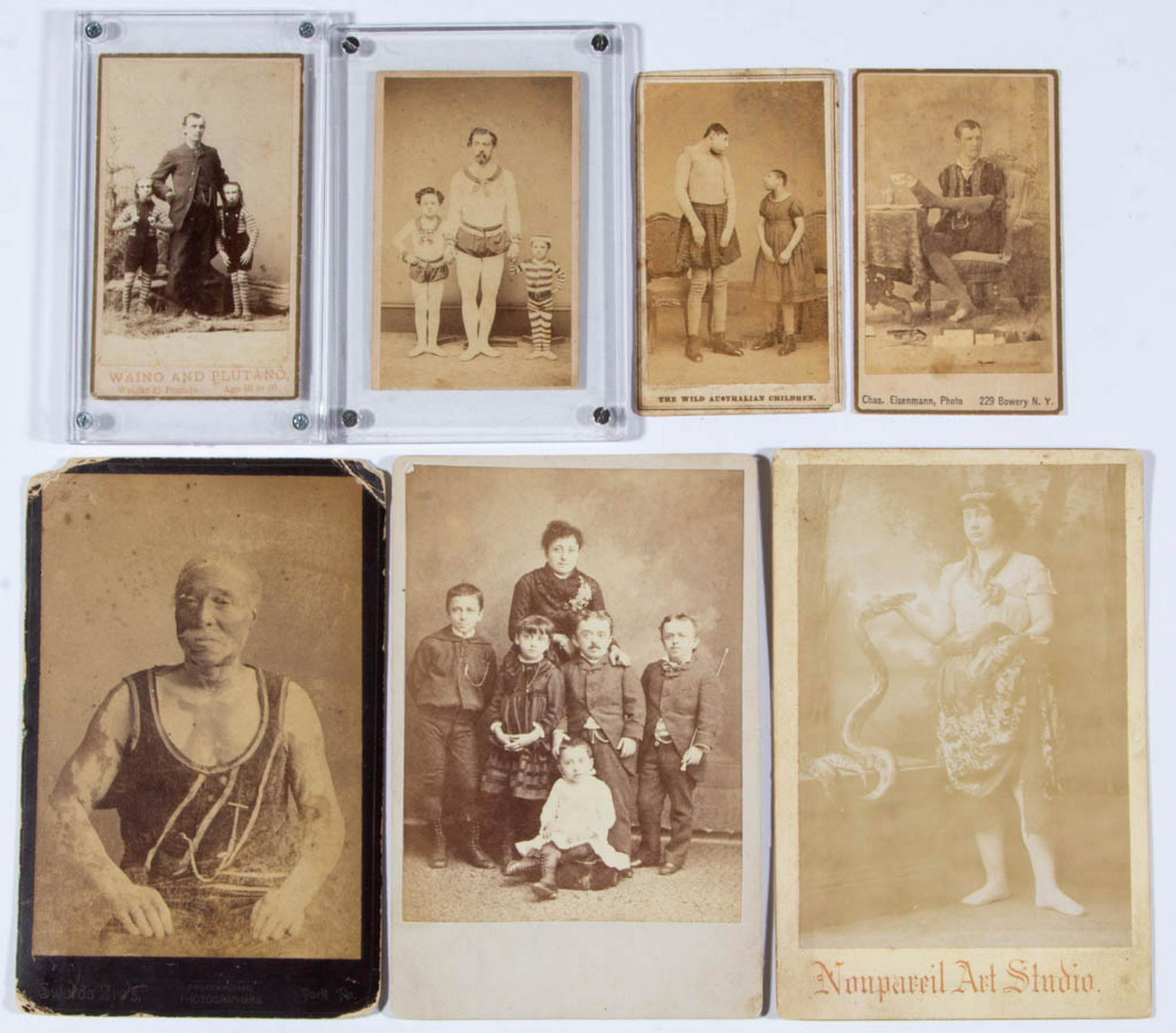 CIRCUS / SIDESHOW PERFORMER CARTES DE VISITE / CABINET: CIRCUS / SIDESHOW PERFORMER CARTES DE VISITE / CABINET CARDS, LOT OF 13, including The Wild Australian Children with tax stamp, Aggie Zolutia, Charles B. Tripp, and Waino and Plutano, photographers in
