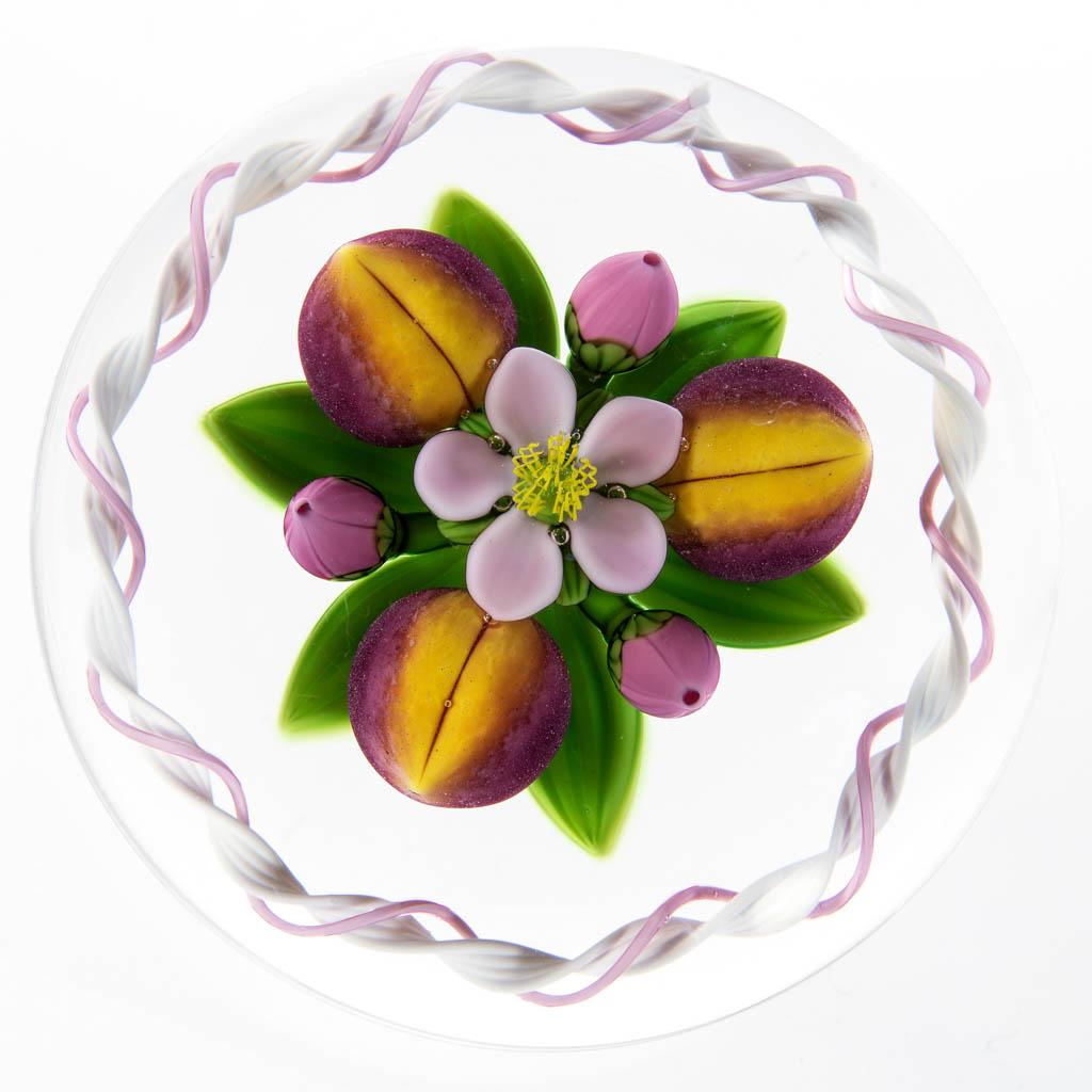 GORDON SMITH / JIM KONTES PEACHES LAMPWORK STUDIO ART: GORDON SMITH / JIM KONTES PEACHES LAMPWORK STUDIO ART GLASS PAPERWEIGHT, colorless, three peaches with a blooming central flower and three flanking buds, five leaves to the base, opal and rose torsade
