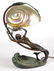 BRONZE ART NOUVEAU NAUTILUS ART GLASS TABLE LAMP
