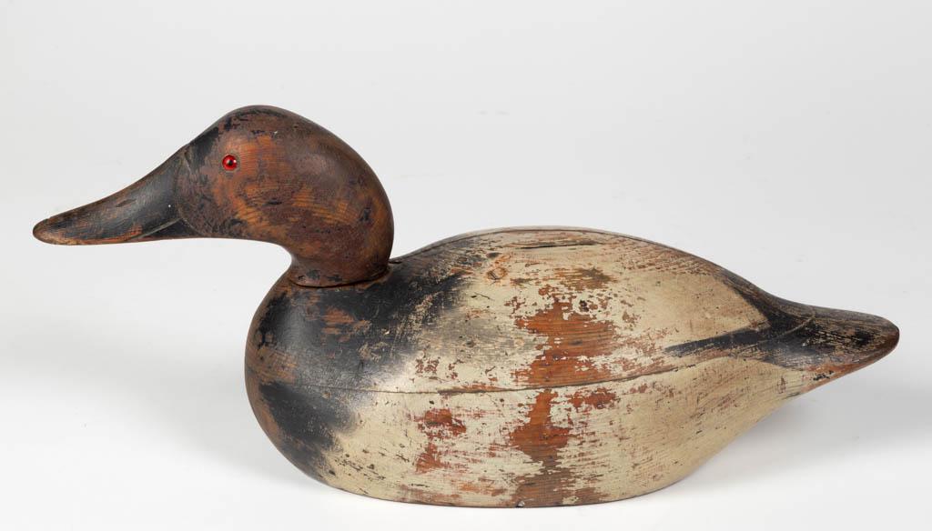 MASON PREMIER GRADE CANVASBACK DRAKE DECOY: MASON PREMIER GRADE CANVASBACK DRAKE DECOY, hollow-body form, with possible later glass eyes, no weights to underside. Old working surface. Mason Decoy Company, Detroit, Michigan. First quarter 20th c