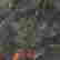 item-91062228=3