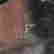 item-91062228=5