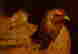 item-105413764=5