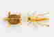 item-113503231=2