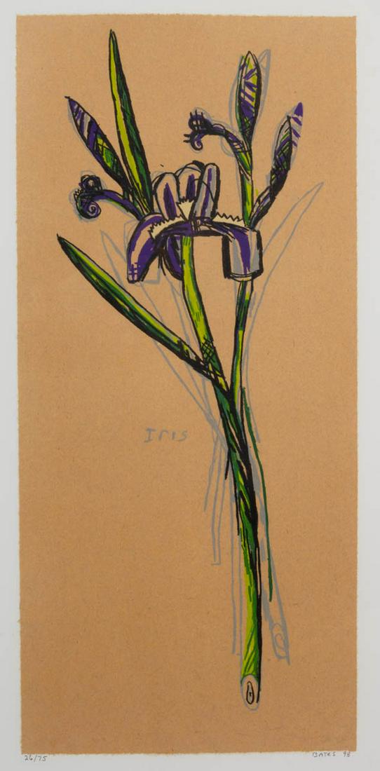 DAVID BATES (AMERICAN / TEXAS, B. 1952) "IRIS" PRINT: DAVID BATES (AMERICAN / TEXAS, B. 1952) "IRIS" PRINT, lithograph on paper, signed and dated in pencil "BATES 98" and numbered 26/75 in pencil, with watermarks in lower left and right corners. Housed i