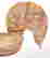 item-115569257=4