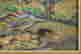 item-130637205=3