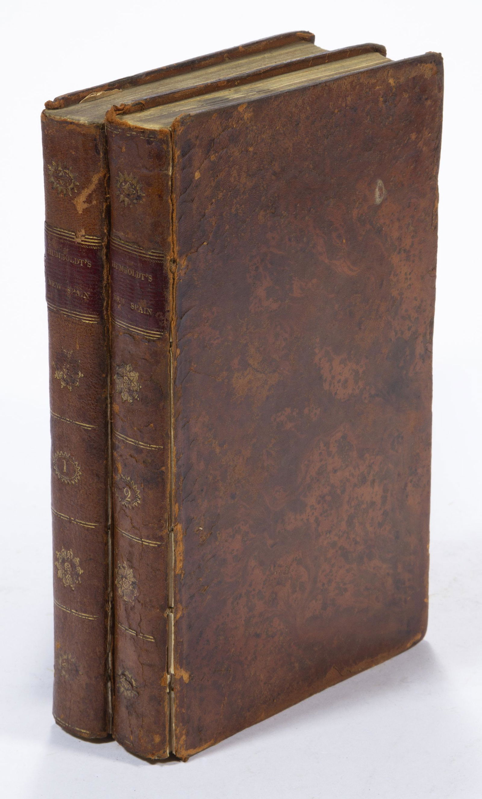 ANTIQUARIAN MEXICO AND SOUTH WESTERN UNITED STATES TRAVEL TWO VOLUMES (1 of 3)