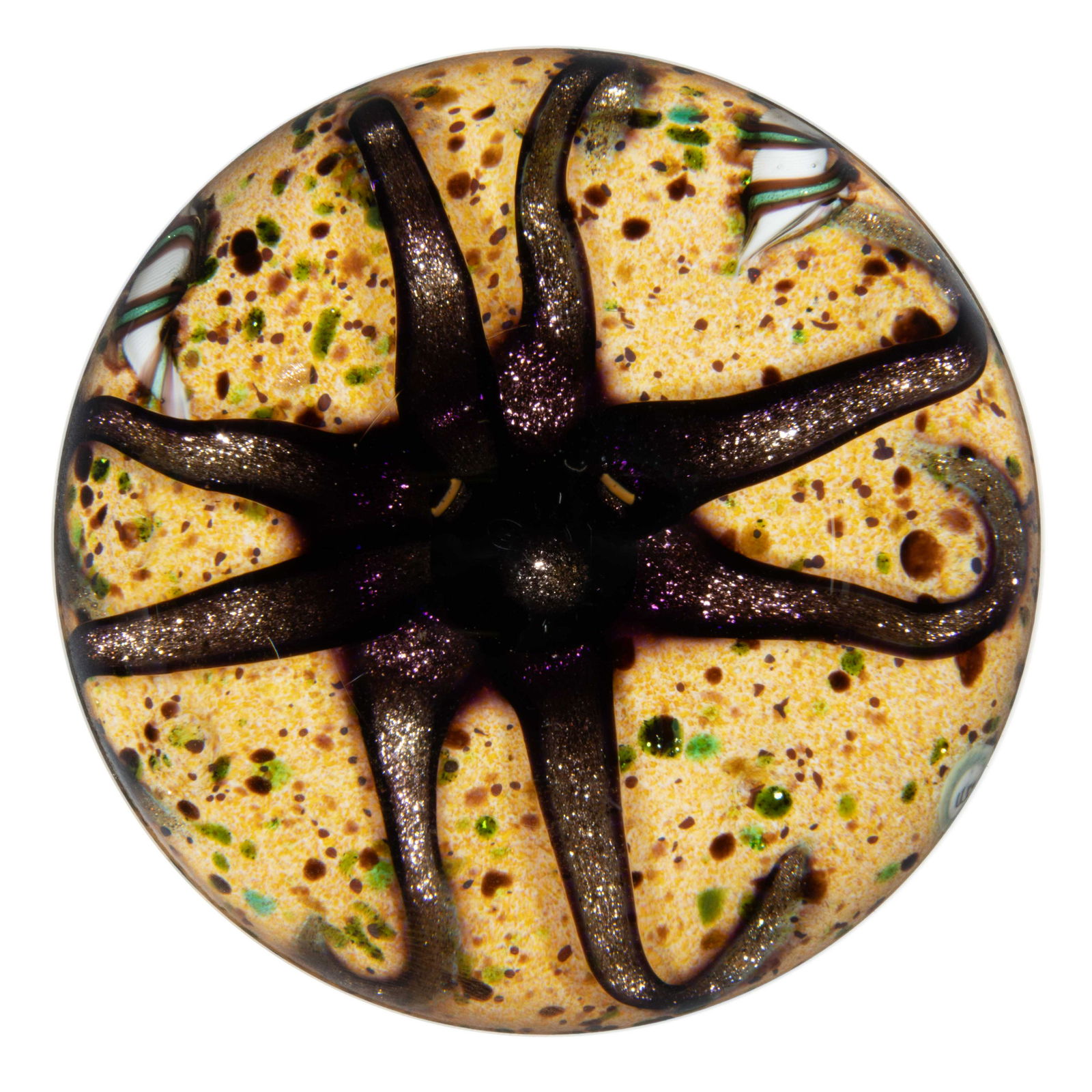 WILLIAM MANSON (SCOTTISH, B. 1951) OCTOPUS AND SHELLS LAMPWORK PAPERWEIGHT, (1 of 2)