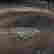 item-137378455=3