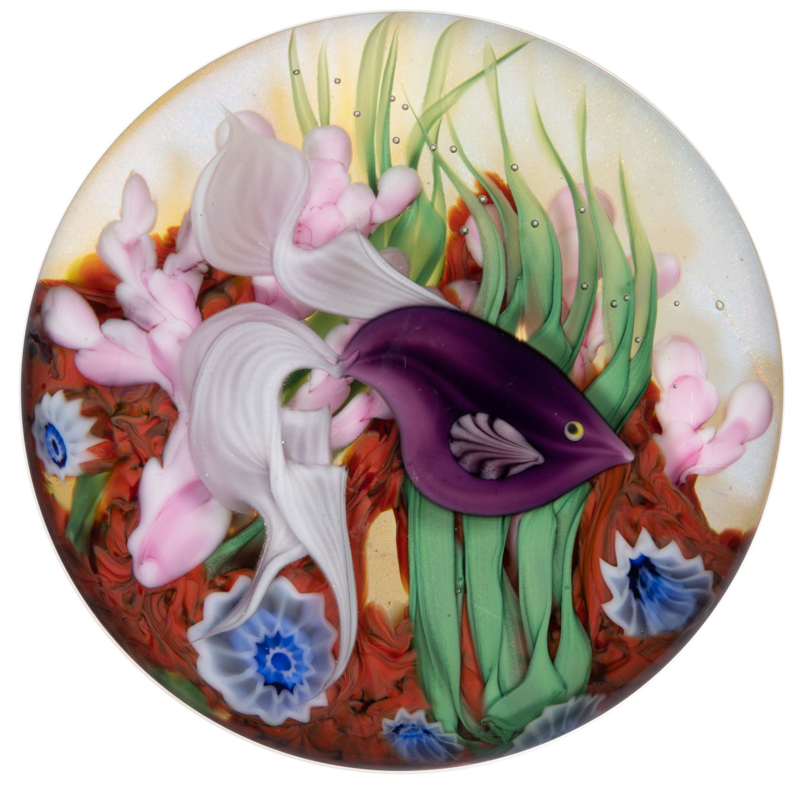 DANIEL SALAZAR (AMERICAN, B. 1956) BETA FISH AND CORAL REEF LAMPWORK STUDIO ART GLASS PAPERWEIGHT, (1 of 2)