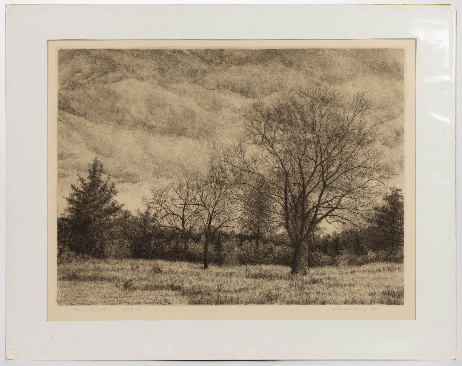 WILLIAM T. LIVESAY (AMERICAN, B. 1956) LARGE LANDSCAPE ETCHING, signed, dated, numbered 40/150 and (1 of 4)