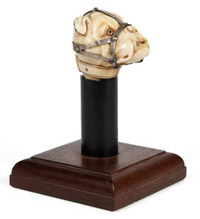 ANTIQUE CARVED BULLDOG HEAD WALKING STICK GRIP: ANTIQUE CARVED BULLDOG HEAD WALKING STICK GRIP, fitted with an unmarked silver conforming muzzle detailed with buckles. Presented on a custom stand. Circa 1860. Head 2" H, 1 5/8" x 2 1/