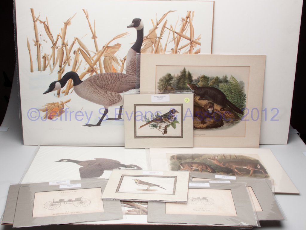 ASSORTED PRINTS, LOT OF 11: ASSORTED PRINTS, LOT OF 11, including two 19th century birds and five 1860 G. & D. Cook carriages. 19th and 20th century. Various sizes.