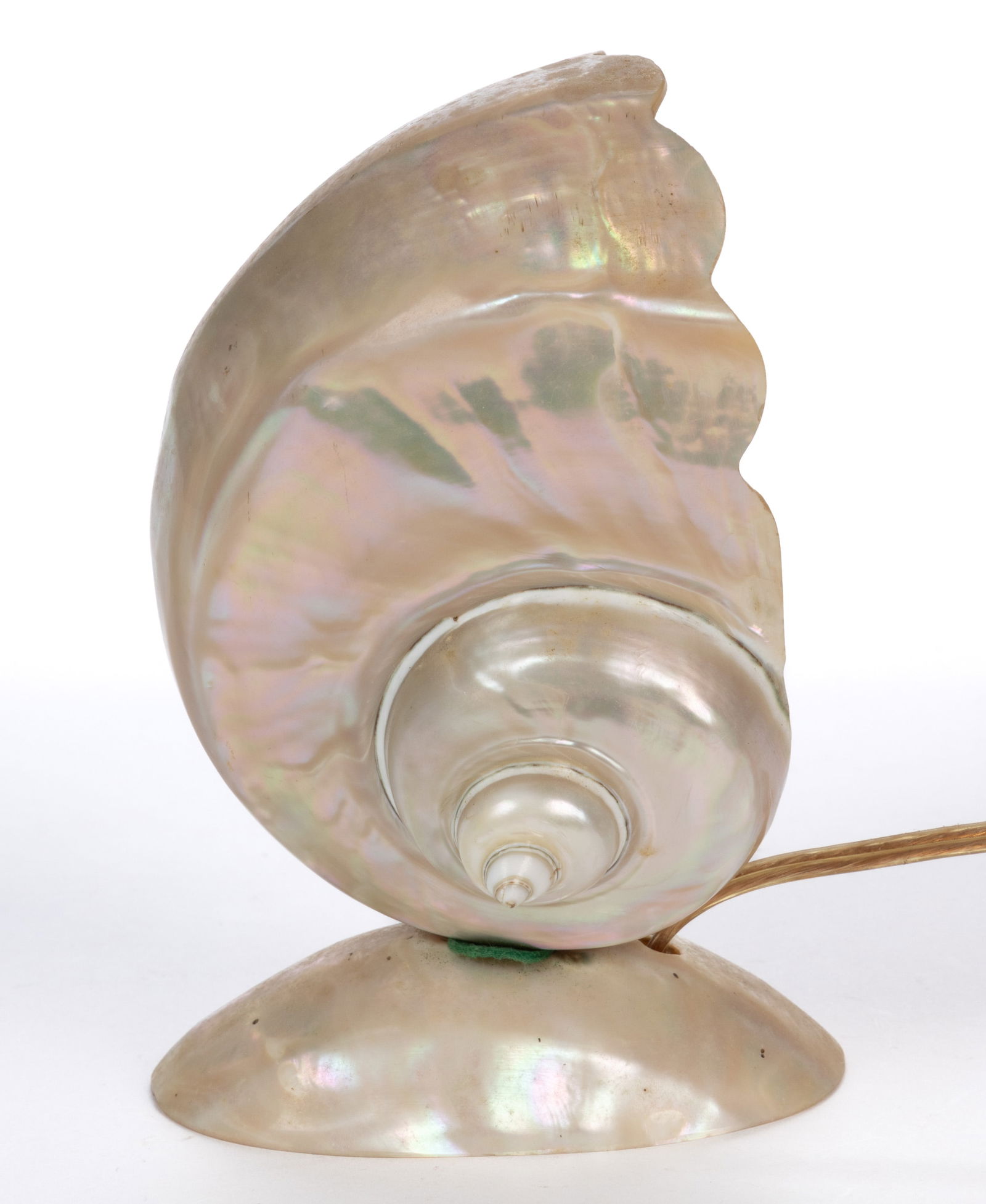 MOTHER-OF-PEARL NAUTILUS SHELL LAMP (1 of 3)
