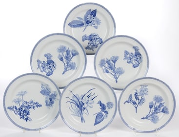 STAFFORDSHIRE WEDGWOOD TRANSFER-PRINTED BOTANICAL MOTIF CERAMIC PLATES, SET OF FIVE