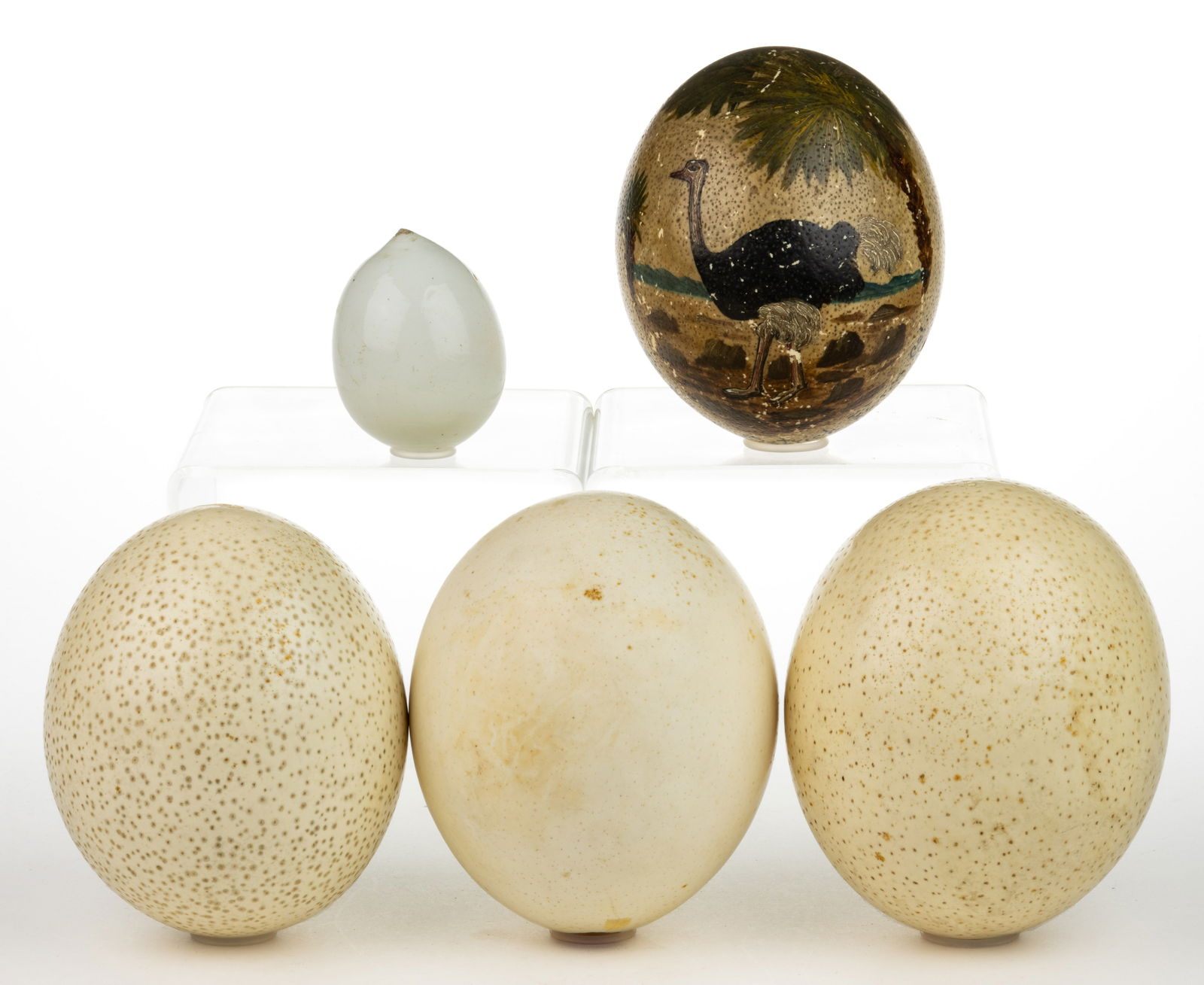 OSTRICH EGGS, LOT OF FOUR (1 of 1)