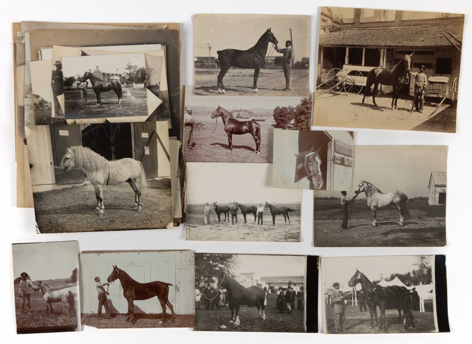 ANTIQUE PHOTOGRAPHS OF HORSES, UNCOUNTED LOT: ANTIQUE PHOTOGRAPHS OF HORSES, UNCOUNTED LOT, mostly albumen prints, five on board, including thoroughbreds and workhorses, some with African-American handlers, some duplicates. All with crossed-
