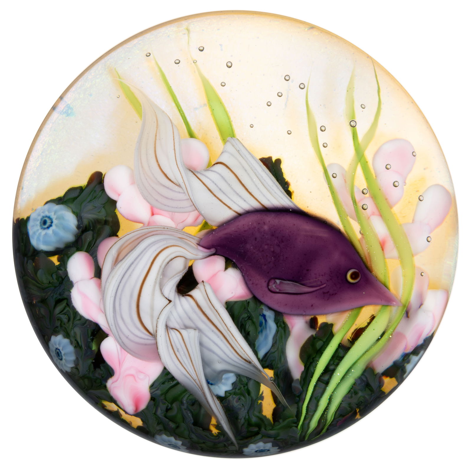 DANIEL SALAZAR (AMERICAN, B. 1956) BETTA FISH AND CORAL REEF LAMPWORK STUDIO ART GLASS MAGNUM (1 of 2)